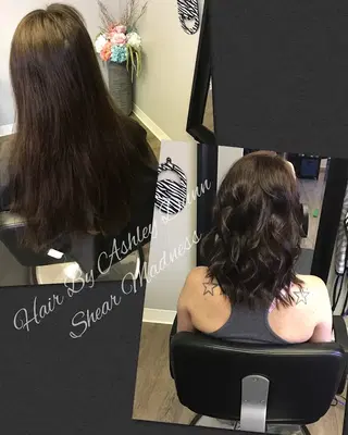 Shear Madness