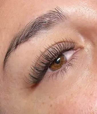 PoLashed Beauty Bar
