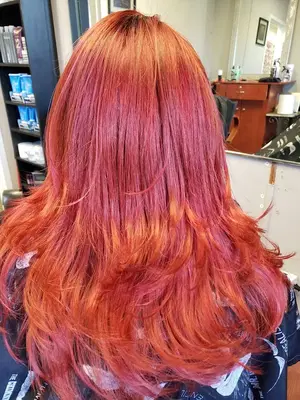 karol Hair Salon
