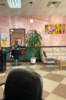 Vip Hair Salon Inc