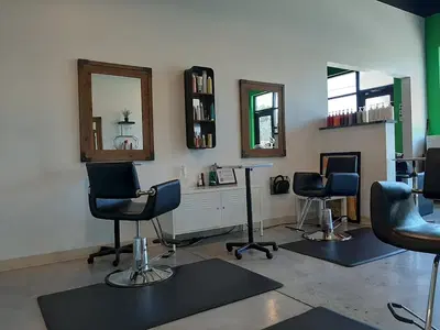 Fringe Salon of Huntsville