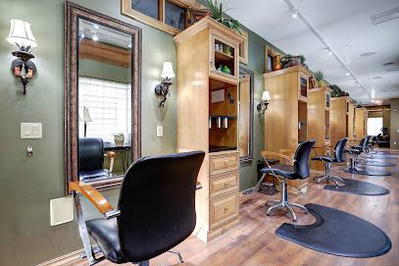 V1 SALON