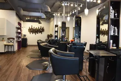 Stray Salon