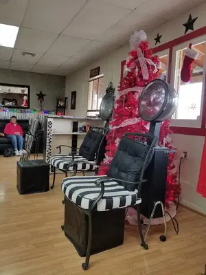 THE Sassy Seale Hair Salon