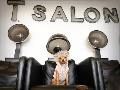 Business Photo