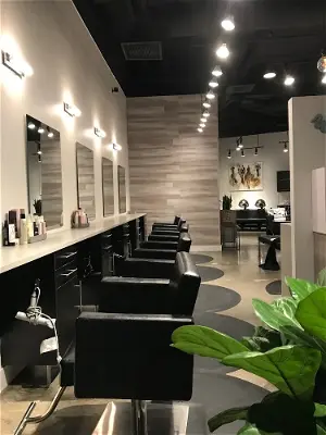 Wisp and Willow Salon