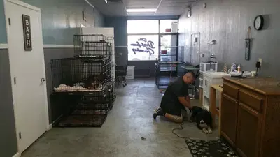 Eddie's Dog House Grooming