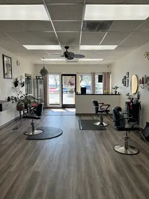 Hollywood Hair