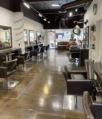 Yidi Chen Stylist Hair Salon