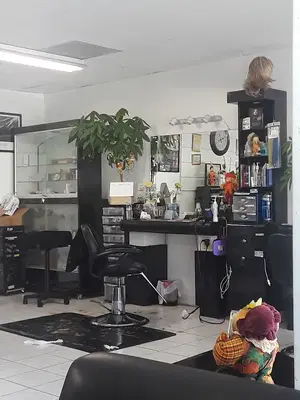 Sandra's Hair Studio