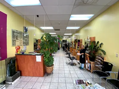 Silhouette Salon