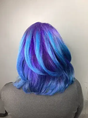 Salon 1971