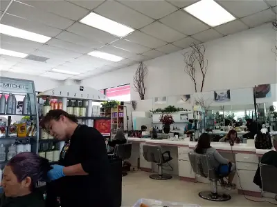 V S Hair Salon