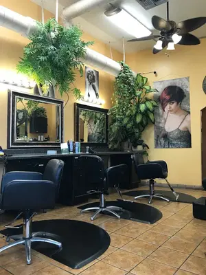 Business Photo