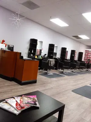 The Hair Connection