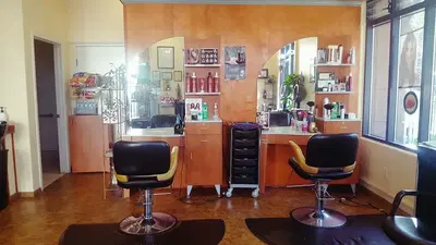 Hair Basics