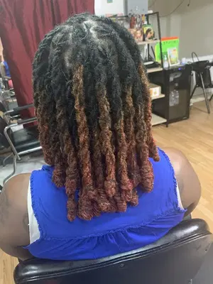 World of Braids