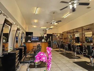 Colors Beauty Salon
