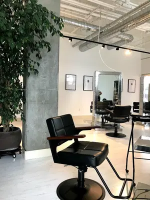 Ivo X Umbrella Salon