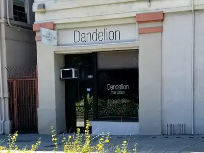 Dandelion Hair Salon
