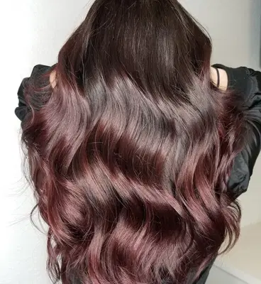 MIVA SALON
