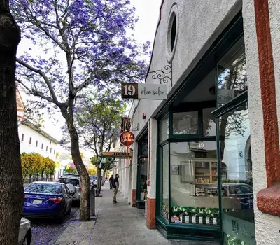 19 Blue Salon and Spa