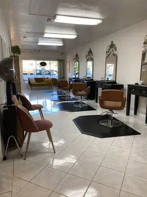 Vera Salon