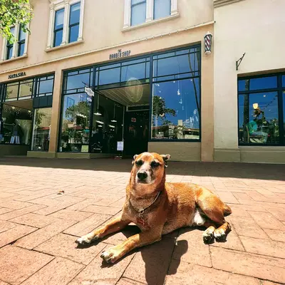 Business Photo
