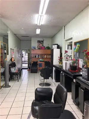 El Pelo Loco Beauty Salon
