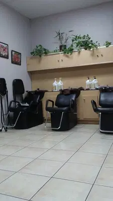 Geminiss Hair & Spa