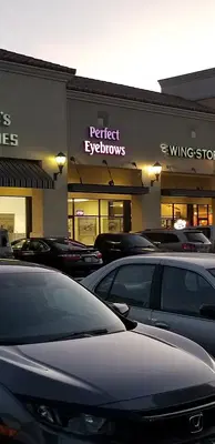 Perfect Eyebrows
