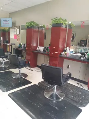 Salon Aure