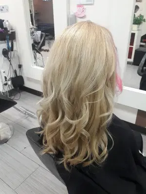 The Colorist Salon