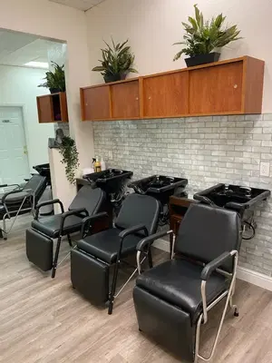 Curl Up & Dye Salon & Permanent Cosmetics