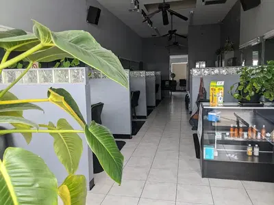 New Attitude Hair Salon