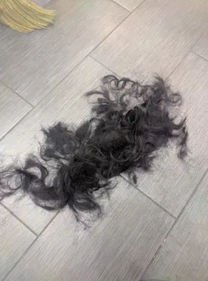 Jeunesse Hair Salon