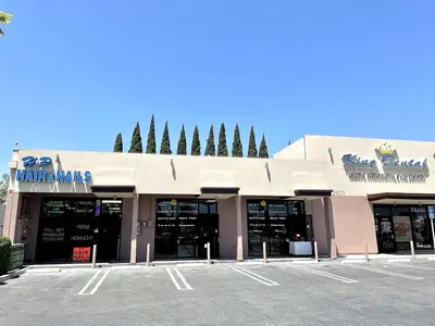 Business Photo
