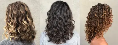 Salon Aficionado