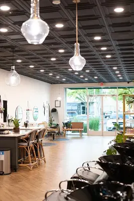 Lifted Salon