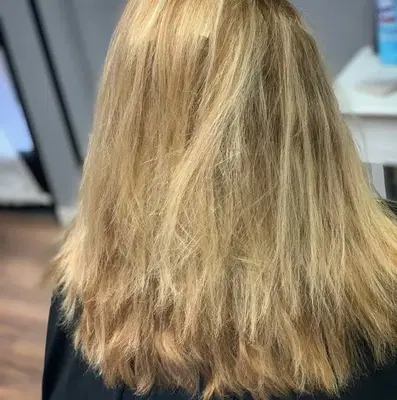 Lather & Rinse Salon