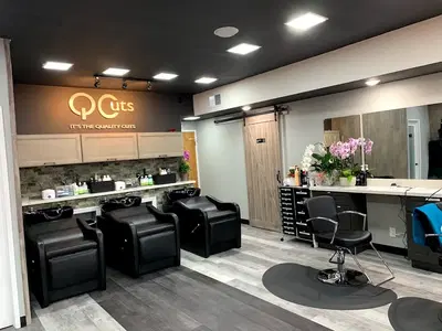 Q Cuts