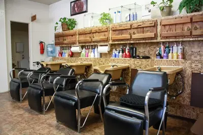 Artists Salon