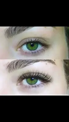 Lash Lounge