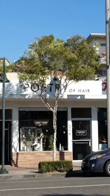 Poetry Of Hair