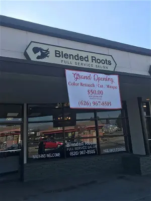 Blended Roots Full Service Salon