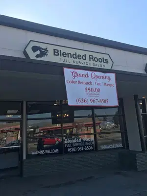 Blended Roots Full Service Salon