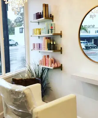 tress+mane hair extension salon