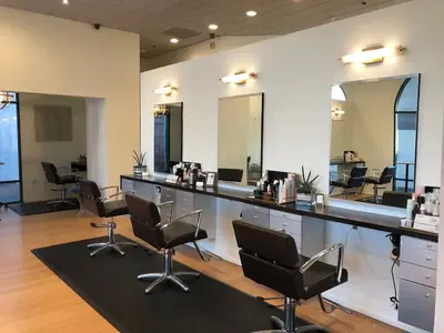 Desa Salon