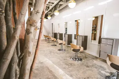 ARTIKA HairSpa