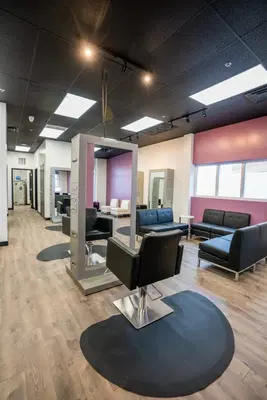 The Salon by Lyndsey Walker